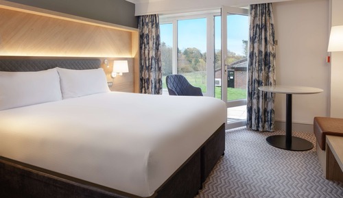 Room, 1 King Bed, Patio