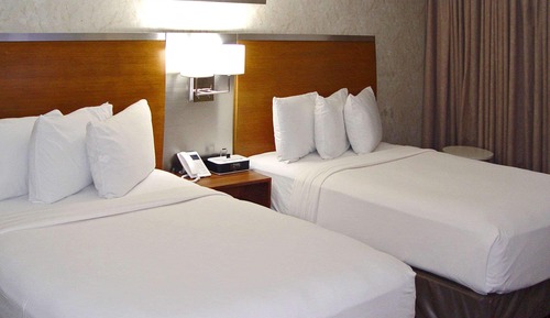 Standard Room, Multiple Beds, Non Smoking