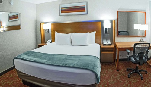 Standard Room, 1 King Bed, Non Smoking