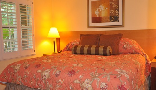Standard Room, 1 King Bed, Pool View, Poolside