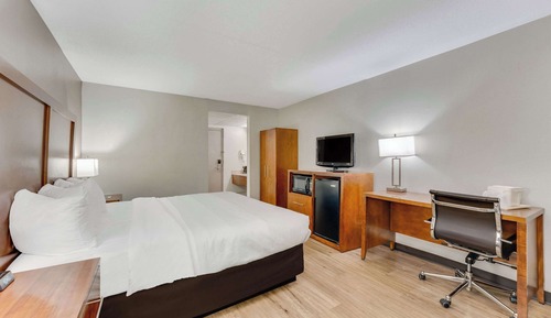 Room, 1 King Bed, Accessible, Non Smoking
