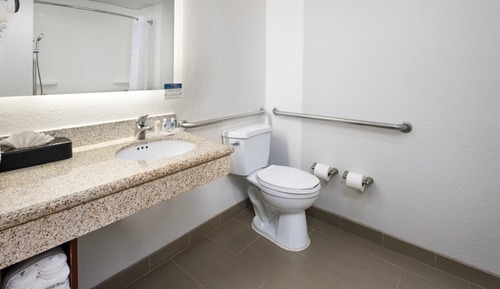 Suite, 1 King Bed with Sofa bed, Accessible, Non Smoking