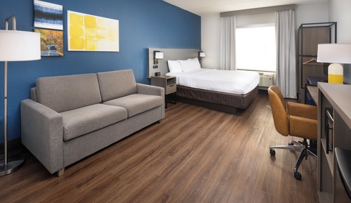 Suite, 1 King Bed with Sofa bed