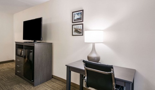 Standard Room, 1 King Bed, Non Smoking (No Pets - 1st Floor)