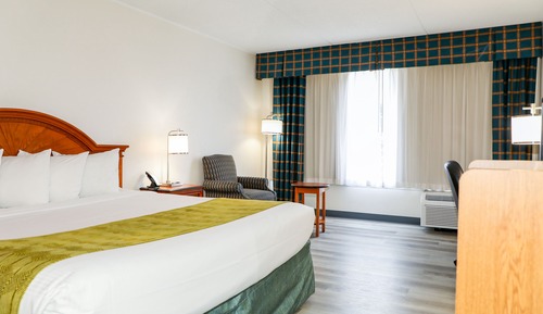 Room, 1 King Bed, Accessible, Non Smoking