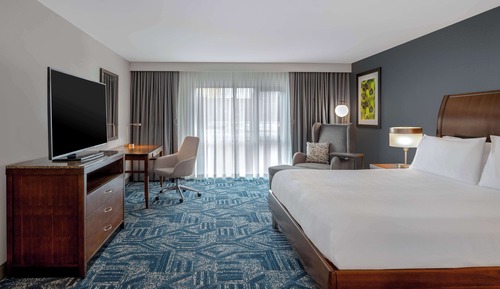 Room, 1 King Bed