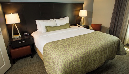 Suite, 1 Bedroom, Accessible, Kitchen (Mobility, Roll-In Shower)