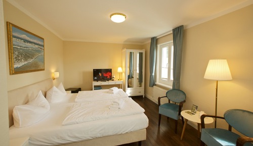 Double Room (Guesthouse - 300m from Main Building)