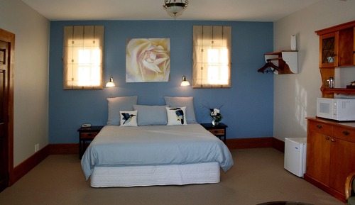 Standard Studio, Non Smoking, Kitchenette (Kingfisher Suite)
