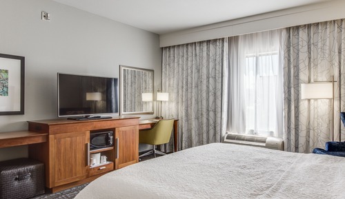 Room, 1 King Bed, Non Smoking, Refrigerator & Microwave