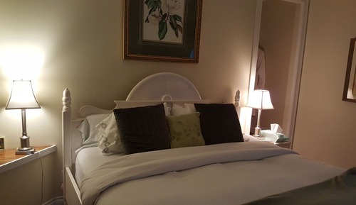 Leopard Suite