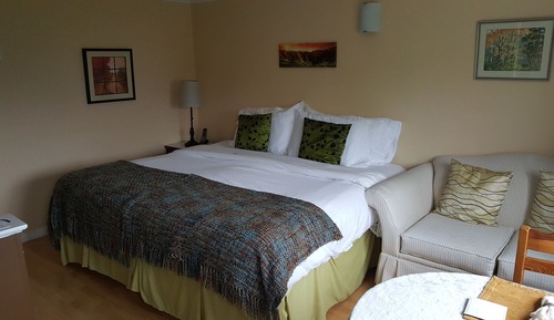 Cozy Suite