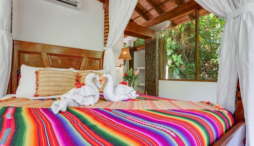 Jungle Suite