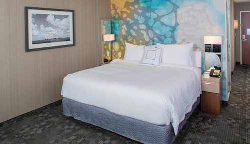 Room, 1 King Bed with Sofa bed