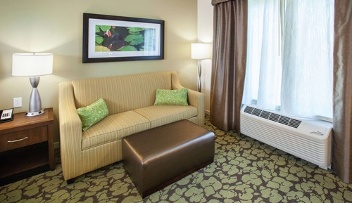 Room, 1 King Bed with Sofa bed