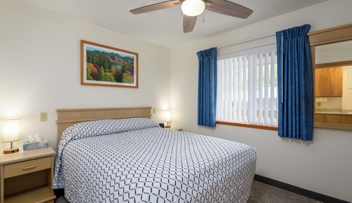 Deluxe Apartment, 1 Queen Bed with Sofa bed, Kitchen