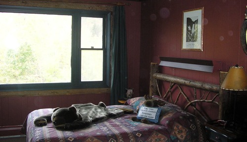 Room, 2 Queen Beds