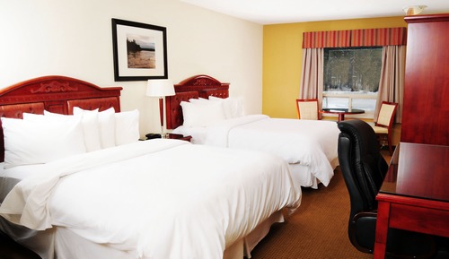 Standard Room, 2 Queen Beds