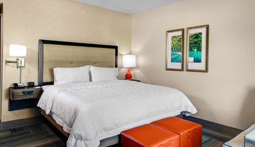 Room, 1 King Bed, Non Smoking (Drinks-Snacks)