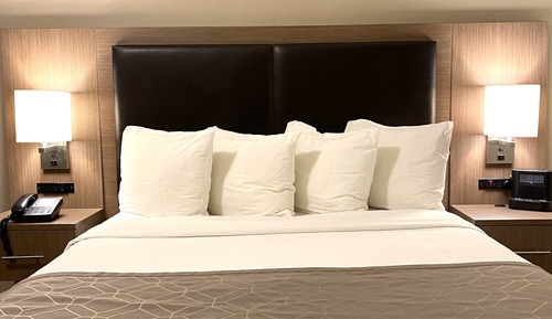 Deluxe Single Room, 1 Queen Bed