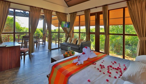 Jungle Retreat (Standard Double Room)