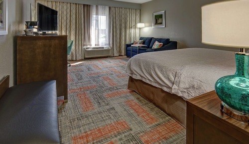 Room, 1 King Bed with Sofa bed, Non Smoking (Bathtub)