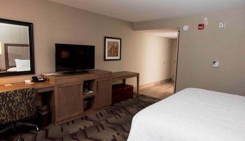 Room, 1 King Bed, Accessible, Non Smoking (Roll In Shower)