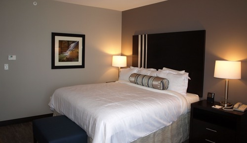 King Room with Track View (Accessible)