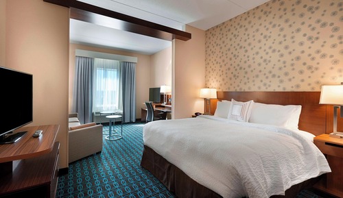 Suite, 1 King Bed with Sofa bed, Non Smoking (Mobility Accessible, Tub)