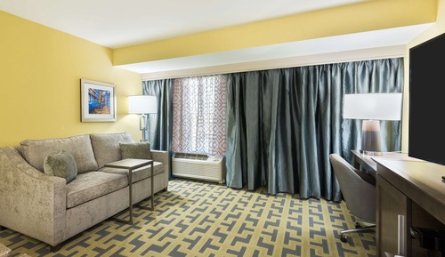 Room, 1 King Bed, Non Smoking, Refrigerator