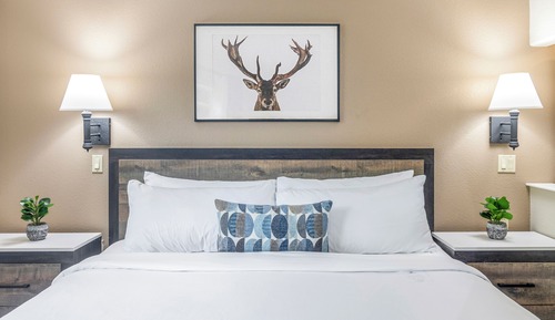 Junior Suite, Multiple Beds