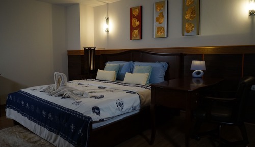 Executive Room, 1 King Bed