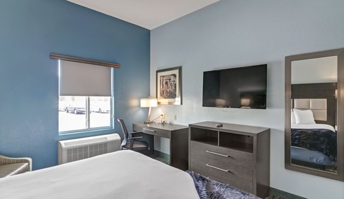 Room, 1 King Bed