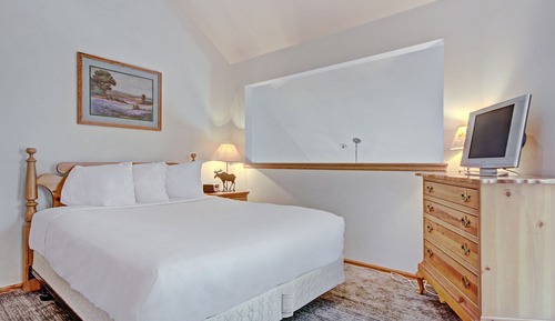 Studio (Studio + Loft)