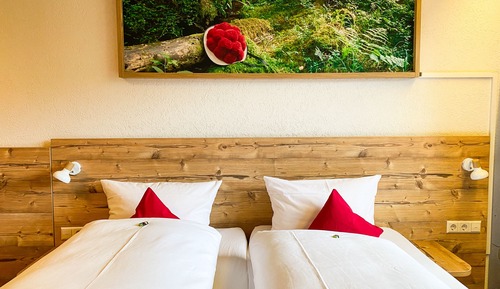 Classic Double or Twin Room, 1 Bedroom, Mountain View
