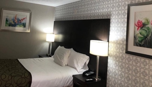 Standard Single Room, 1 Queen Bed, Non Smoking