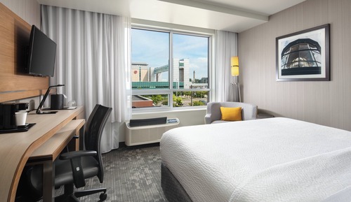 Room, 1 King Bed, Non Smoking (Mobility Accessible, Roll-In Shower)