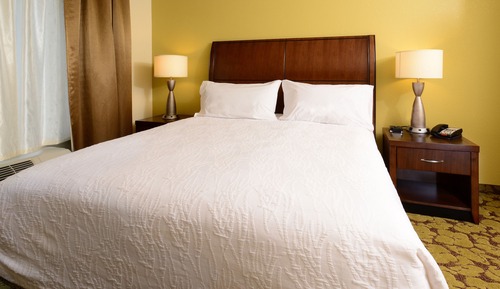 Room, 1 King Bed, Non Smoking (Shotgun)
