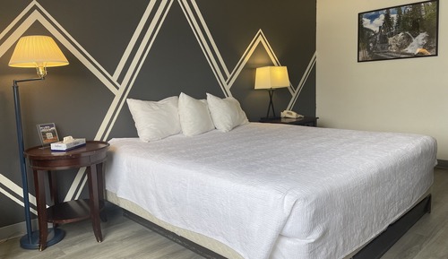 Economy Room, 1 King Bed