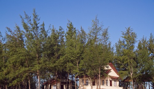 Deluxe Beach Bungalow