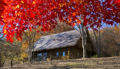 Western Japanese Room, Log House, Smoking