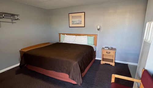 Room, 1 King Bed