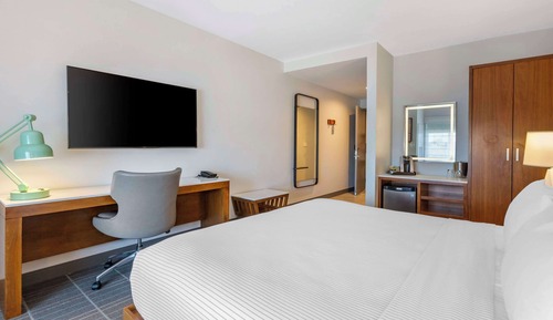 Standard Room, 1 King Bed, Non Smoking