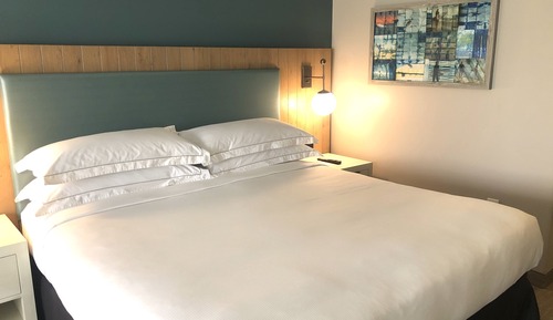 Room, 1 King Bed