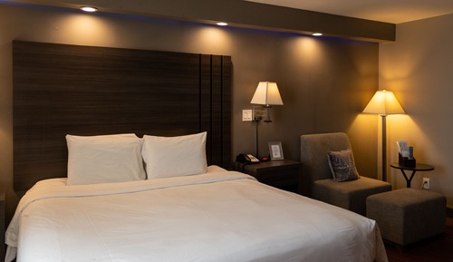 Deluxe Room, 1 King Bed, Non Smoking