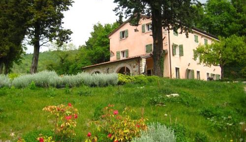 Villa with Garden View