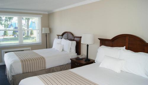 Standard Room with 4 Entire Park Passes/each night of stay