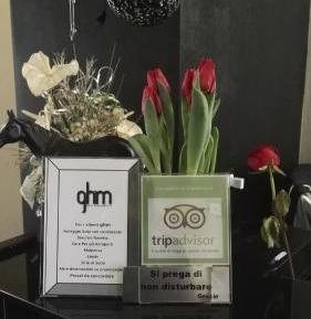 Standard  Double Room