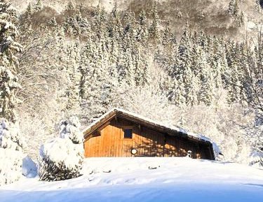 One-Bedroom Chalet