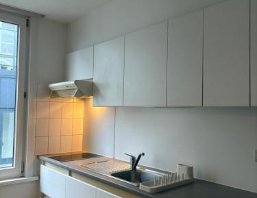 Deluxe One-Bedroom Apartment with Garden View